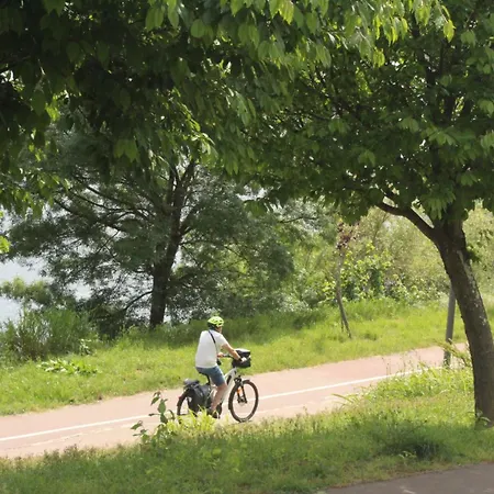 아파트 Lb Douro Godim